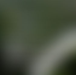 National Geographic - Showcase your Photographs