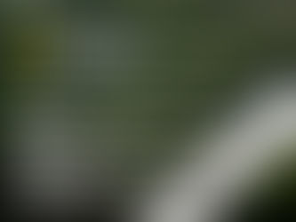 National Geographic - Showcase your Photographs