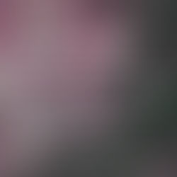 Max Planck Institute / Artist-in-Residence Program