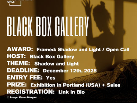 Black Box Gallery - Focus: Shadow and Light Open Call