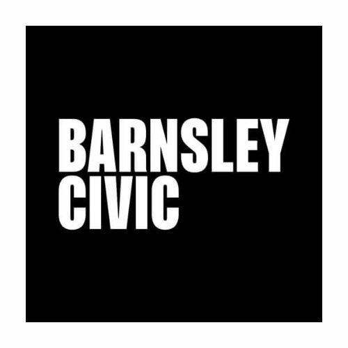 FREE ENTRY /  Barnsley Civic - In Frame 2025: Barnsley Young Photographers Award