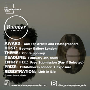 The Boomer Gallery - Contemporary 7th Edition: Call For Artists and Photographers