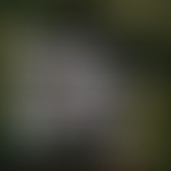 Form Photo Award 2026 - Open Call