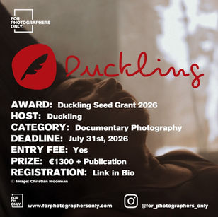 Duckling - Duckling Seed Grant