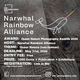 Narwhal Rainbow Alliance - "Queer Nature" Open Call 2026