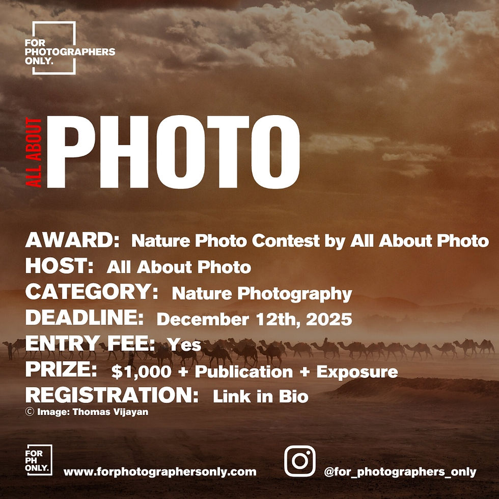 All About Photo Magazine / Nature Photo Contest