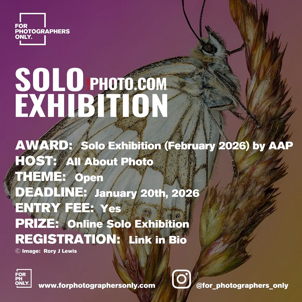 All About Photo Magazine - February 2026 Solo Exhibition