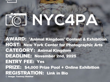 NYC4PA - "Animal Kingdom" International Juried Photography Call for Entry