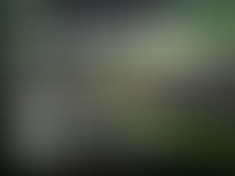 NYC4PA - "Reflections" International Juried Photography Call for Entry