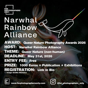 Narwhal Rainbow Alliance - "Queer Nature" Call for Entries