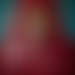 Photo Artfolio - Prospectus: The Human Portrait