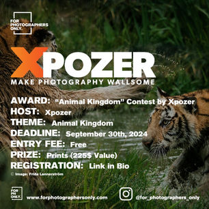 Xpozer - "Animal Kingdom" Photo Contest