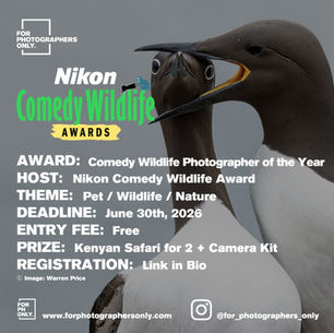 Nikon Comedy Wildlife Awards 2026 - Comedy Wildlife Photographer of the Year
