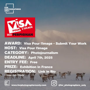 Visa Pour l'Image - Submit Your Work