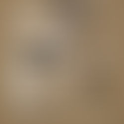 7th Annual Ricciardi Prize