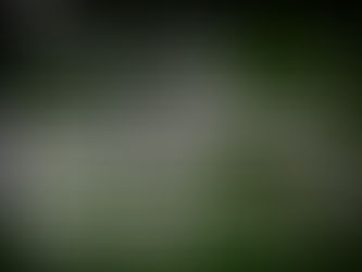 Decode Gallery - Square Photography Exhibition