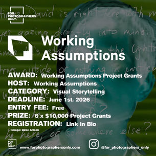 Working Assumptions Project Grants 2026