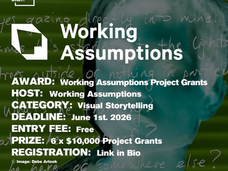 Working Assumptions Project Grants 2026