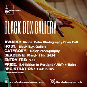 Black Box Gallery - Vision: Color Photography Open Call