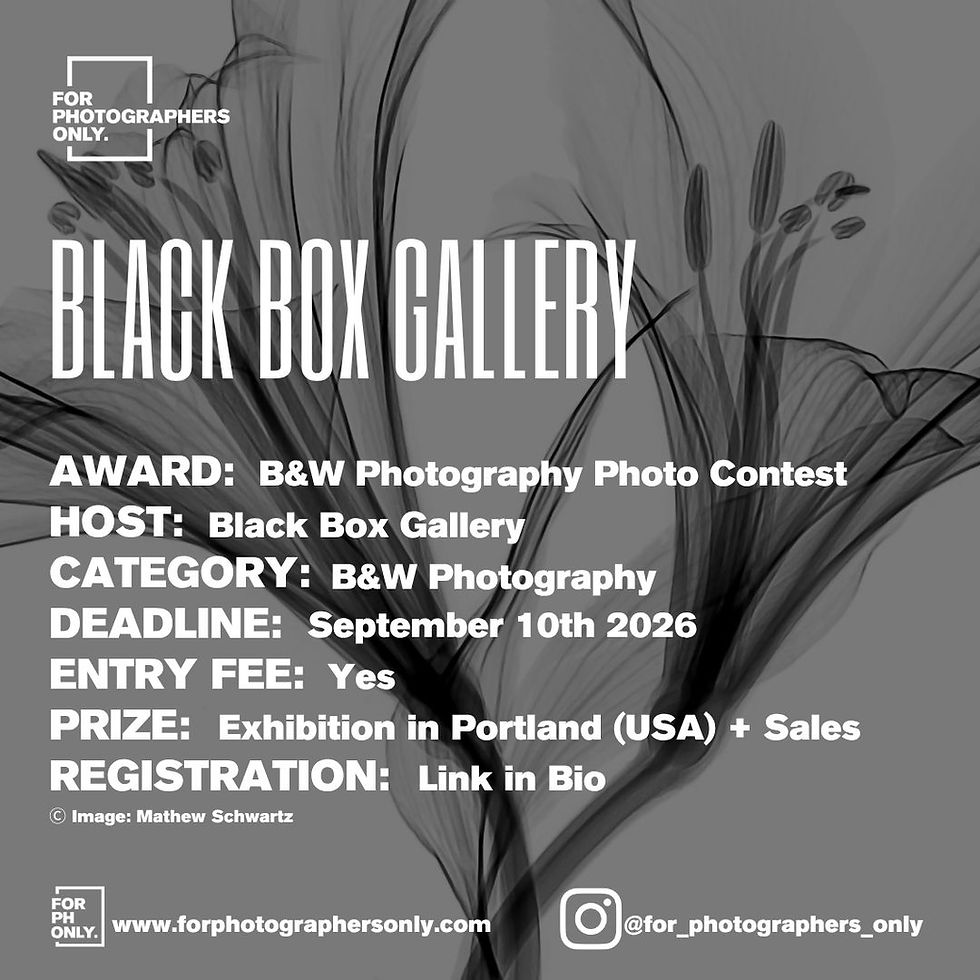 Black Box Gallery - Black and White: 2026