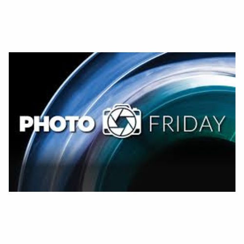 FREE ENTRY / Camera House - Photo Friday: Open Call