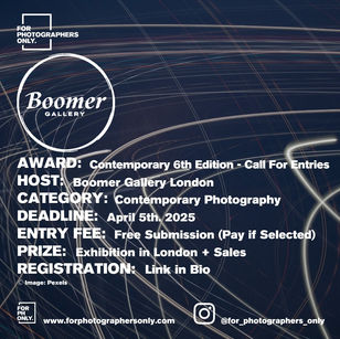 The Boomer Gallery - "Contemporary" 6th Edition Call For Artists