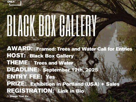 Black Box Gallery - Framed: Trees and Water Call for Entries