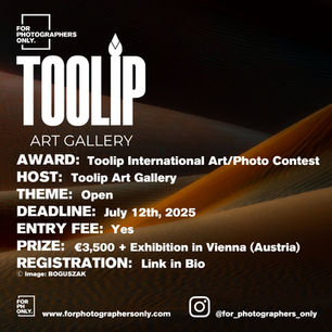 Toolip International Art e Photo Contest 2025