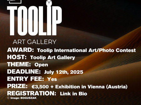 Toolip International Art e Photo Contest 2025