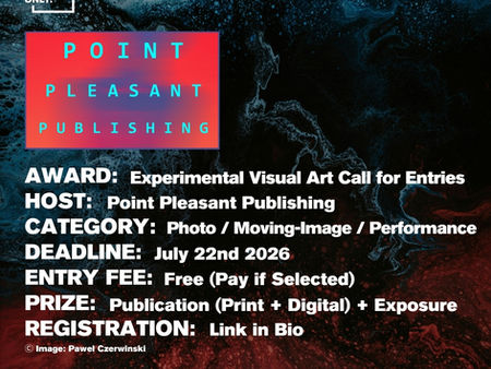 Point Pleasant Publishing - Experimental Visual Art Call for Entries 2026