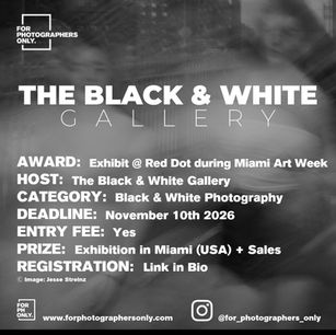 The Black & White Gallery at Red Dot Miami 2026 Open Call