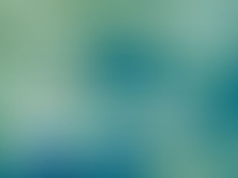 "The New Artist" Call For Entries by Boomer Gallery