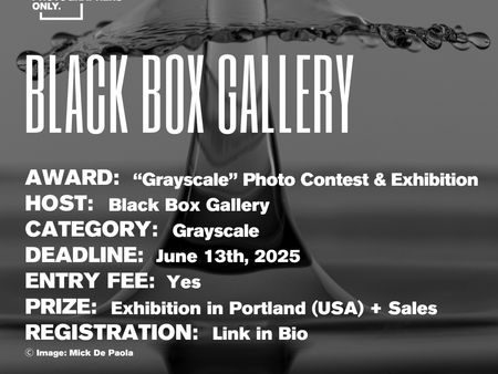 Black Box Gallery - "Grayscale" Photo Contest & Exhibition