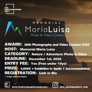 The 36th Edition of the Memorial Maria Luisa International Photo and Video Contest