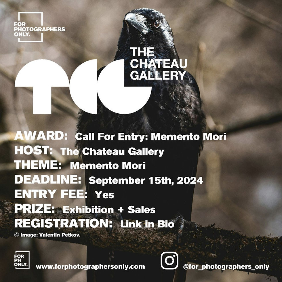 The Chateau Gallery - Call For Entry: Memento Mori