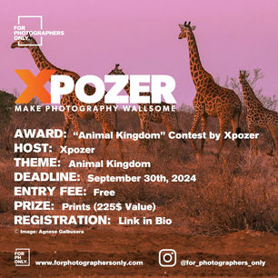 Xpozer - "Animal Kingdom" Photo Contest