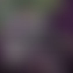 "Trees and Water" Call for Entries by Black Box Gallery