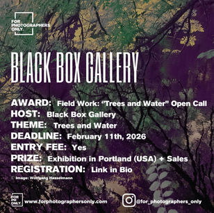 "Trees and Water" Call for Entries by Black Box Gallery