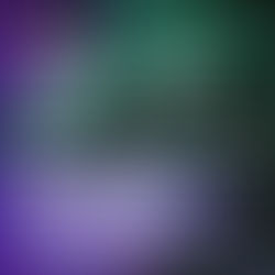 Max Planck Institute / Artist-in-Residence Program