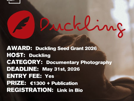 Duckling - Duckling Seed Grant 2026