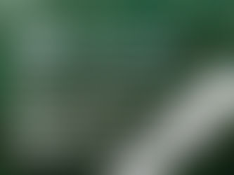 P4H + UN Human Rights - The Global Photography Contest