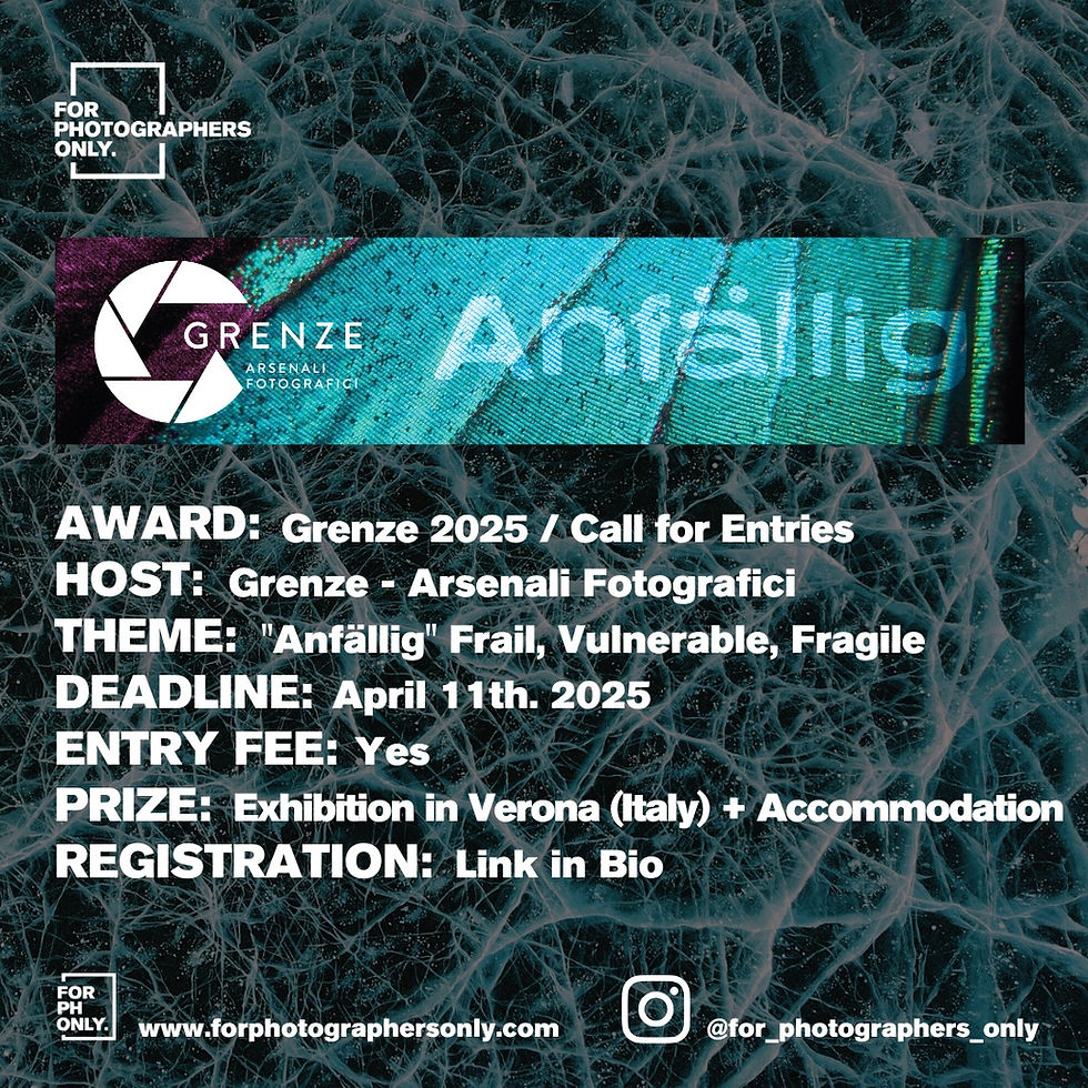 "Anfällig" Grenze 2025 - Call for Entries