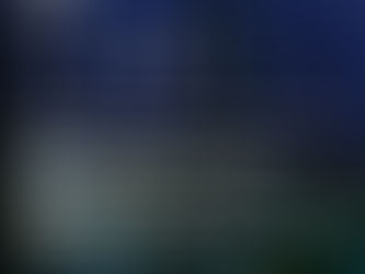 Vital Impacts - Environmental Photography Grants and Mentorships