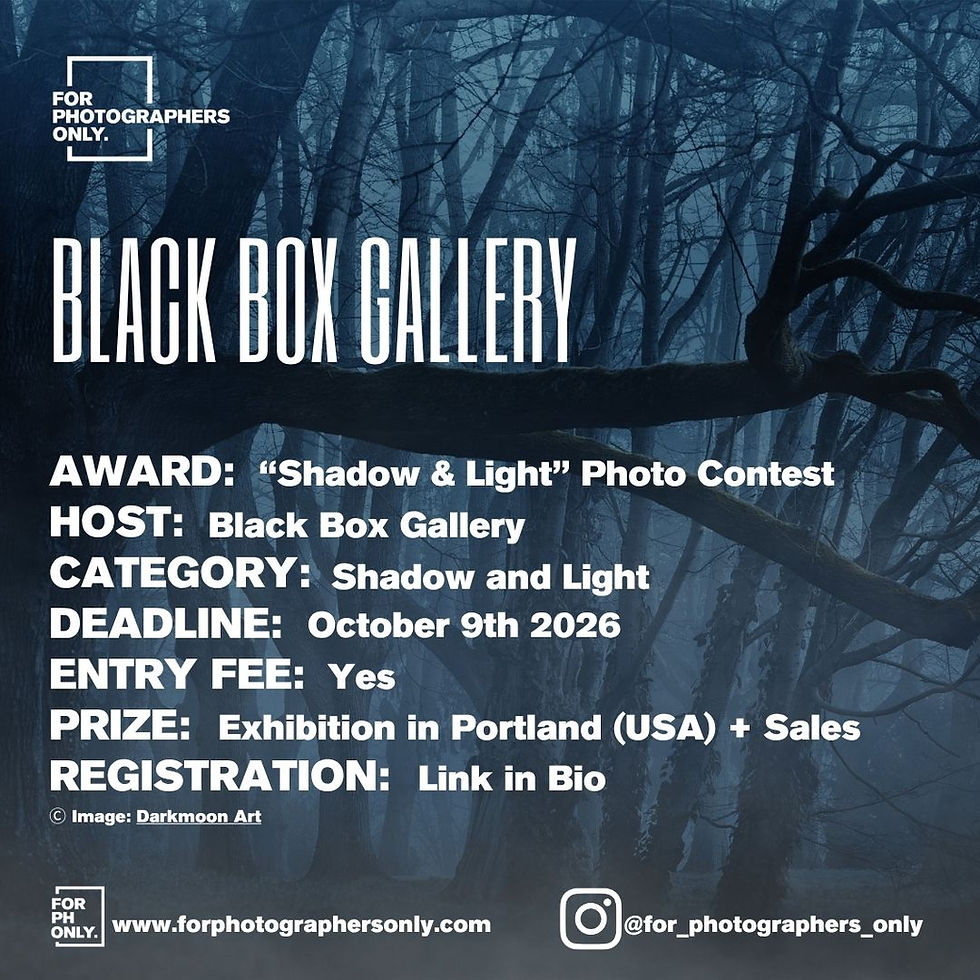 Black Box Gallery - Framed: Shadow and Light Open Call