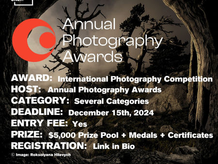 Annual Photography Awards 2024