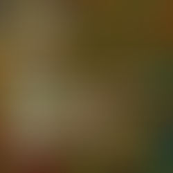 The Boomer Gallery - "What is Art?" Open Call for Artists and Photographers