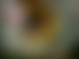 A Smith Gallery - “Botanical” Photo Contest and Exhibition