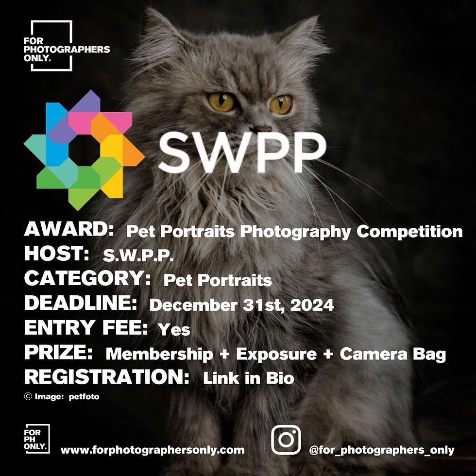 The Society of Wedding & Portrait Photographers - Pet Portraits Photography Competition