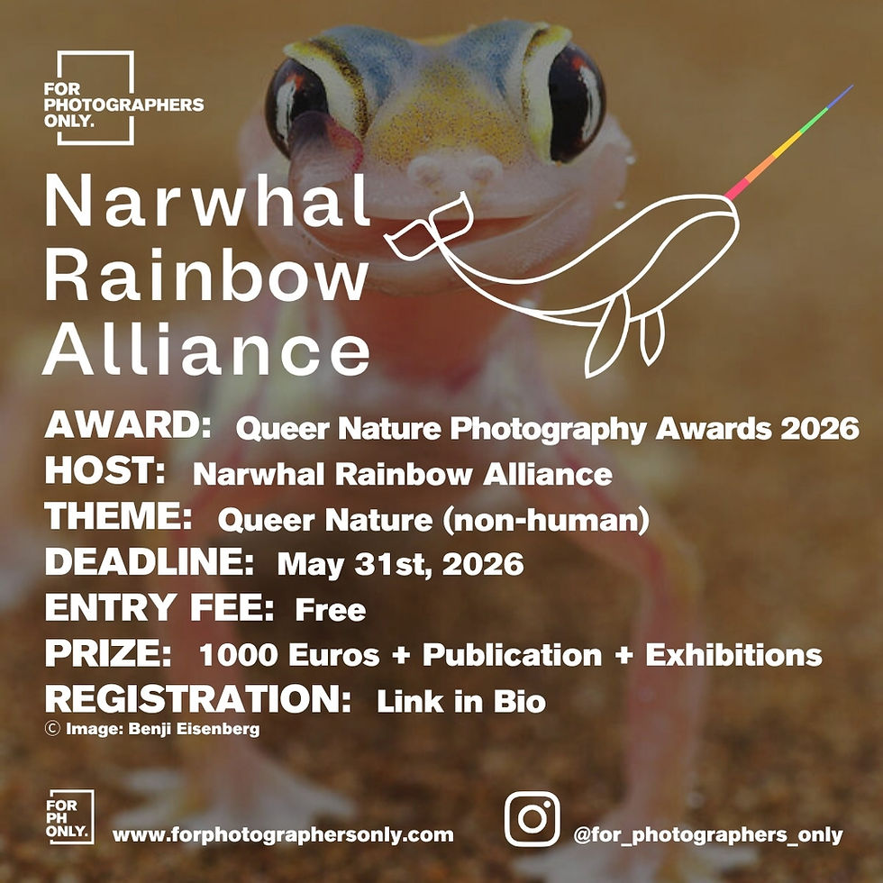 Narwhal Rainbow Alliance - Queer Nature Photography Awards 2026