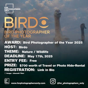 Birdo - Bird Photographer of the Year 2025